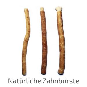 Siwak_Natürliche Zahnbürste